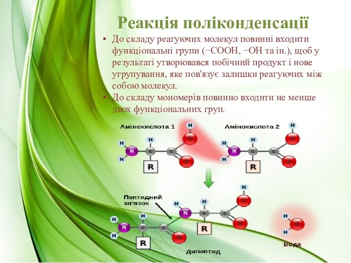 Реакція поліконденсації До складу реагуючих молекул повинні входити функціональні групи (−СООН,