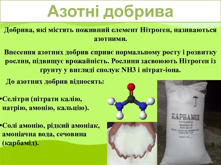 Азотні добрива Добрива, які містять поживний елемент Нітроген, називаються азотними. Внесення