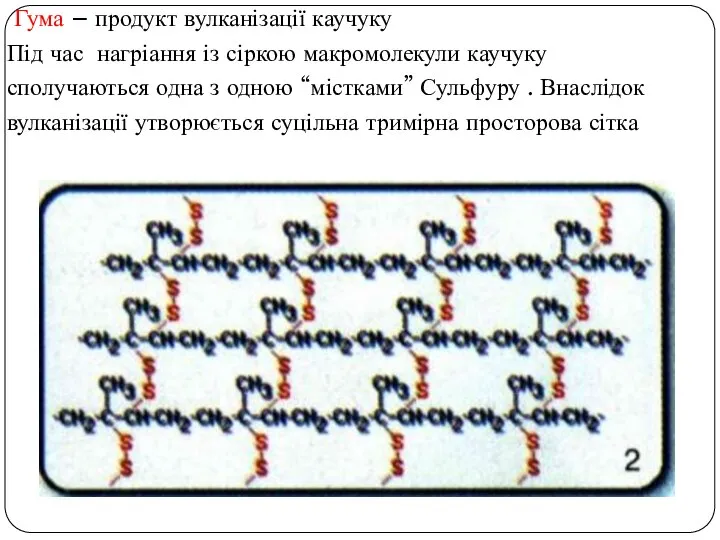 Гума – продукт вулканізації каучуку Під час нагріання із сіркою макромолекули