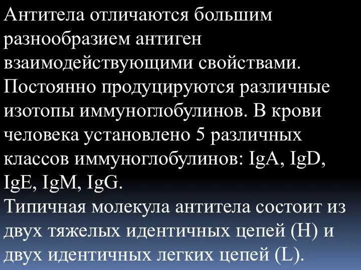 Антитела отличаются большим разнообразием антиген взаимодействующими свойствами. Постоянно продуцируются различные изотопы