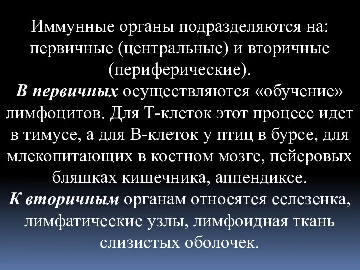 Иммунные органы подразделяются на: первичные (центральные) и вторичные (периферические). В первичных