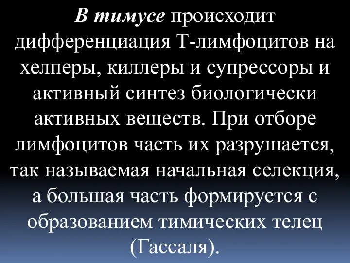 В тимусе происходит дифференциация Т-лимфоцитов на хелперы, киллеры и супрессоры и