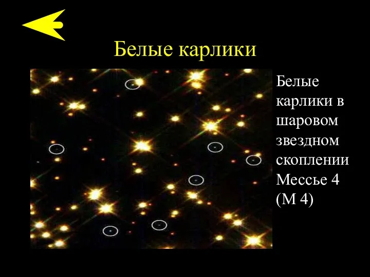 Белые карлики Белые карлики в шаровом звездном скоплении Мессье 4 (М 4)