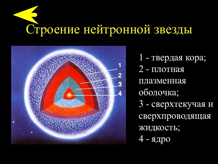 Строение нейтронной звезды 1 - твердая кора; 2 - плотная плазменная