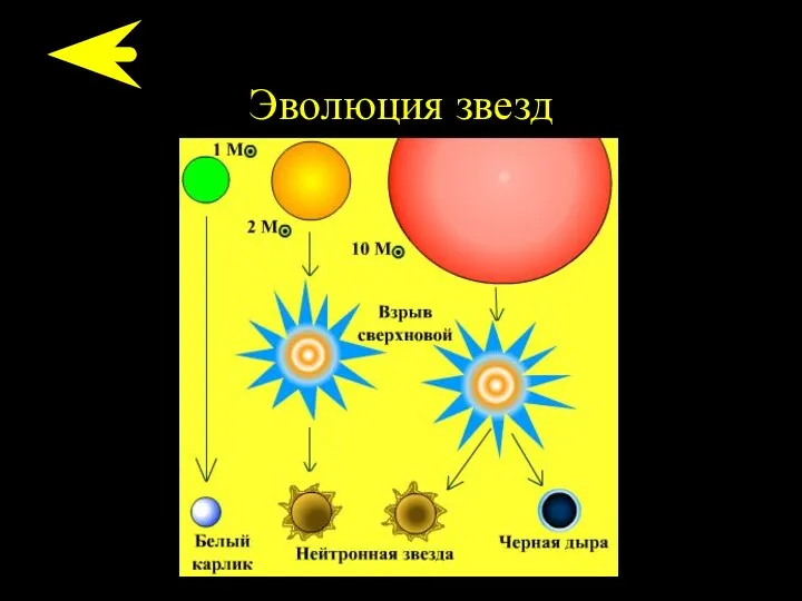 Эволюция звезд