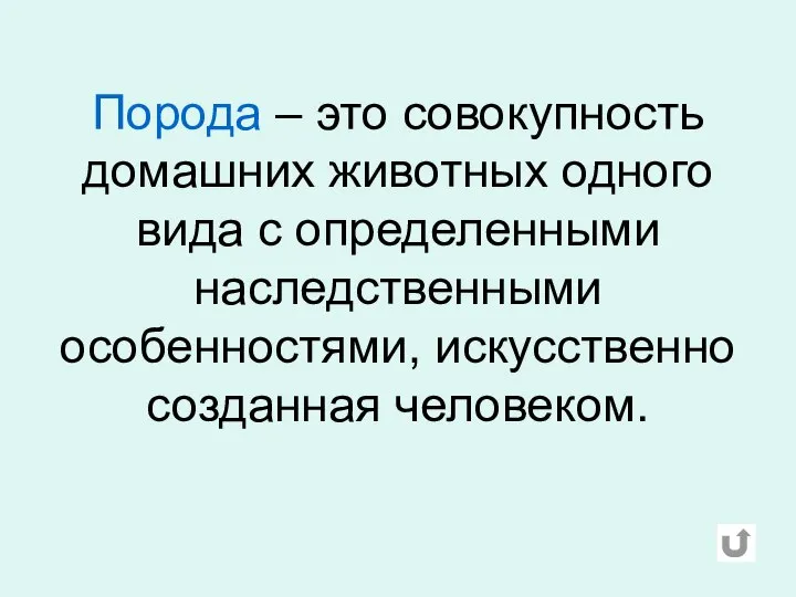 Порода – это совокупность домашних животных одного вида с определенными наследственными особенностями, искусственно созданная человеком.