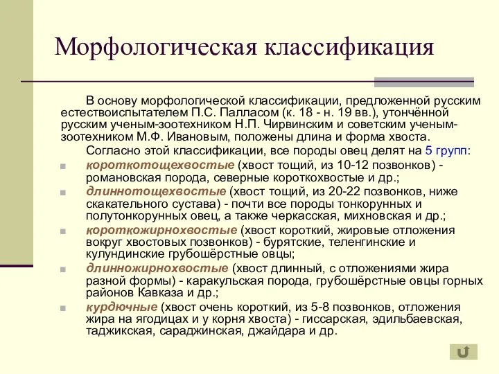Морфологическая классификация В основу морфологической классификации, предложенной русским естествоиспытателем П.С. Палласом