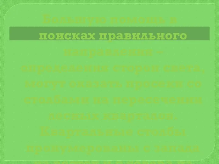 Большую помощь в поисках правильного направления – определения сторон света, могут