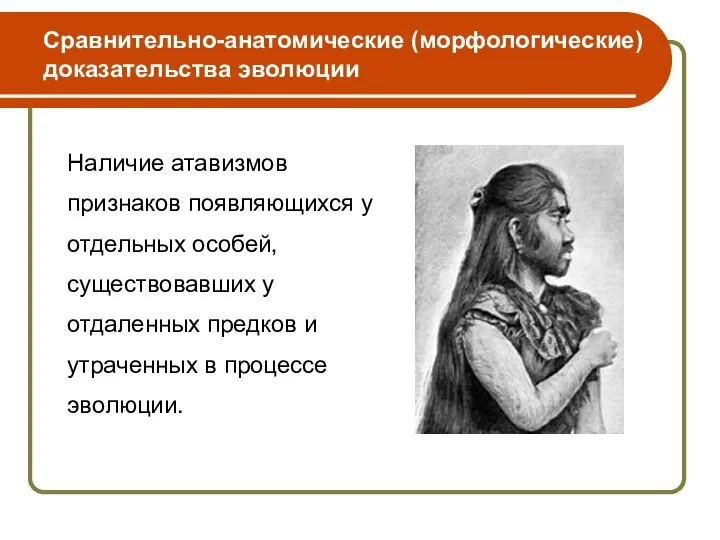 Наличие атавизмов признаков появляющихся у отдельных особей, существовавших у отдаленных предков