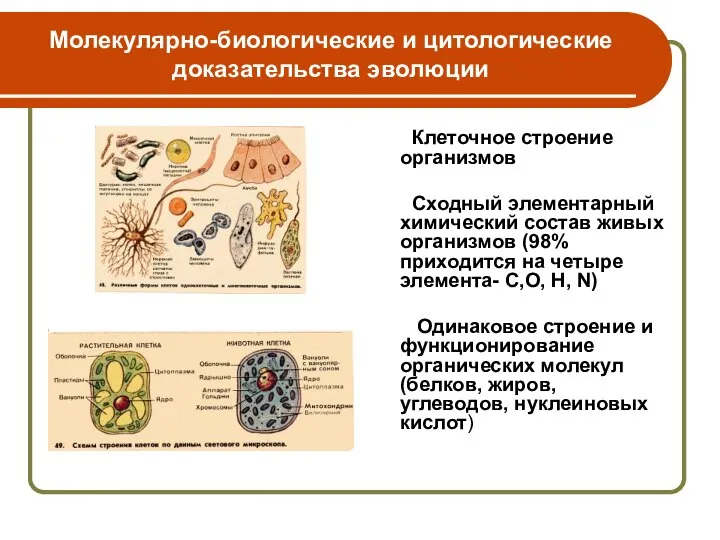 Молекулярно-биологические и цитологические доказательства эволюции Клеточное строение организмов Сходный элементарный химический