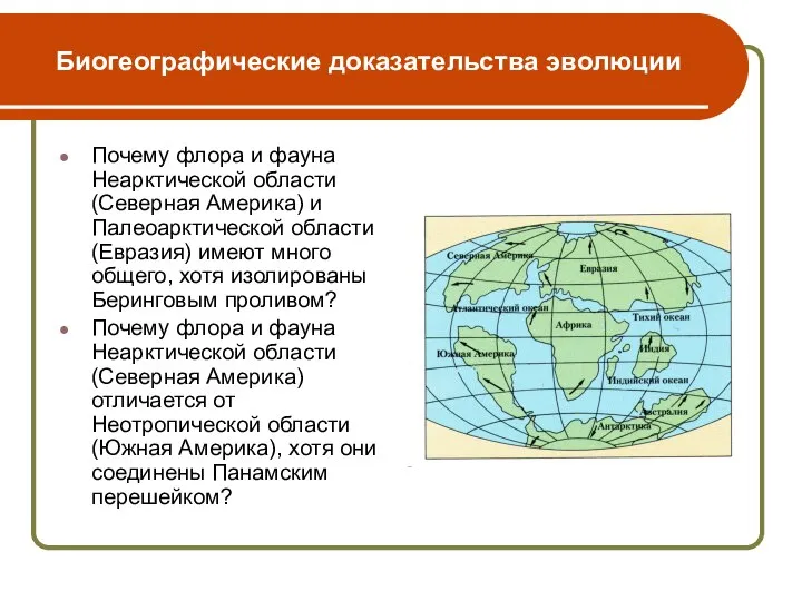 Биогеографические доказательства эволюции Почему флора и фауна Неарктической области (Северная Америка)