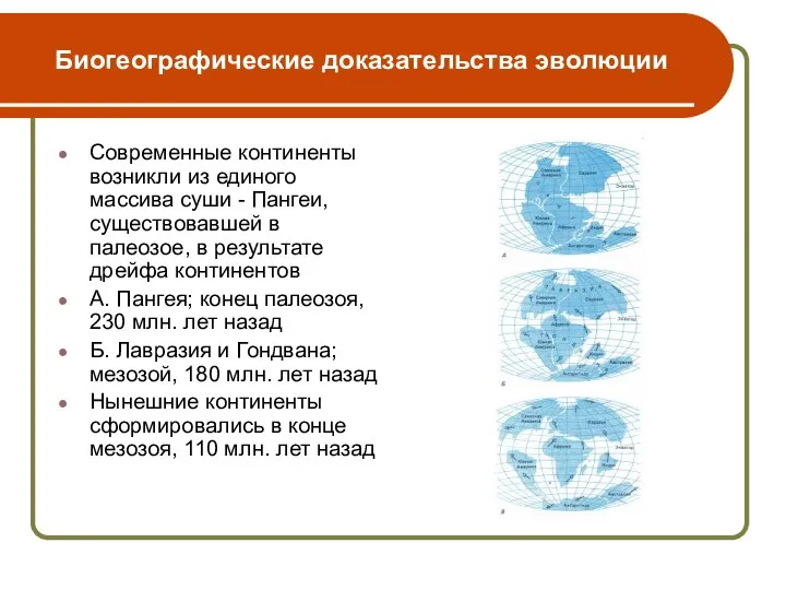 Биогеографические доказательства эволюции Современные континенты возникли из единого массива суши -