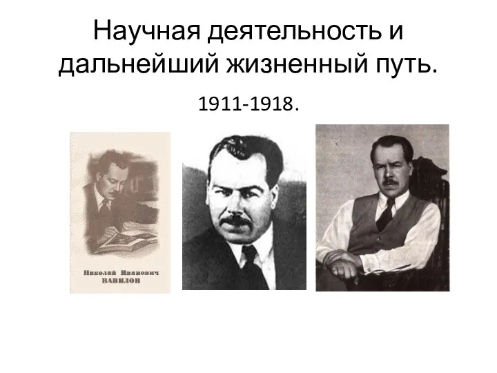 Научная деятельность и дальнейший жизненный путь. 1911-1918.