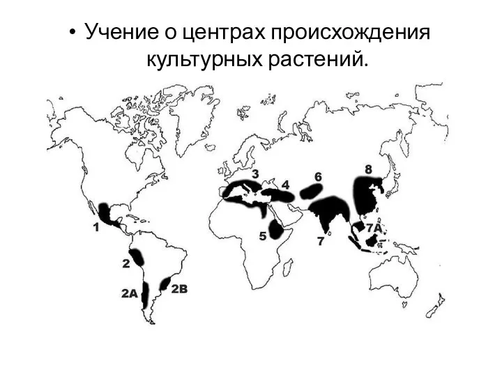 Учение о центрах происхождения культурных растений.