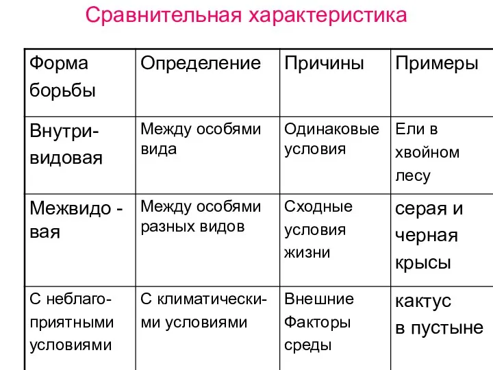 Сравнительная характеристика