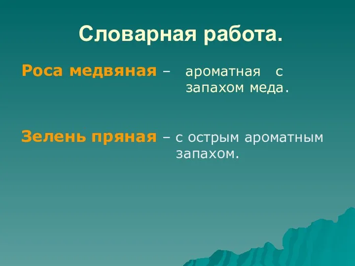 Словарная работа. Роса медвяная – ароматная с запахом меда. Зелень пряная – с острым ароматным запахом.