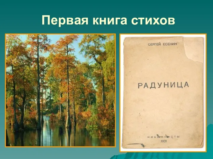 Первая книга стихов