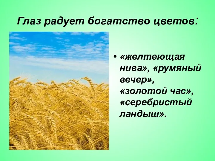 Глаз радует богатство цветов: «желтеющая нива», «румяный вечер», «золотой час», «серебристый ландыш».