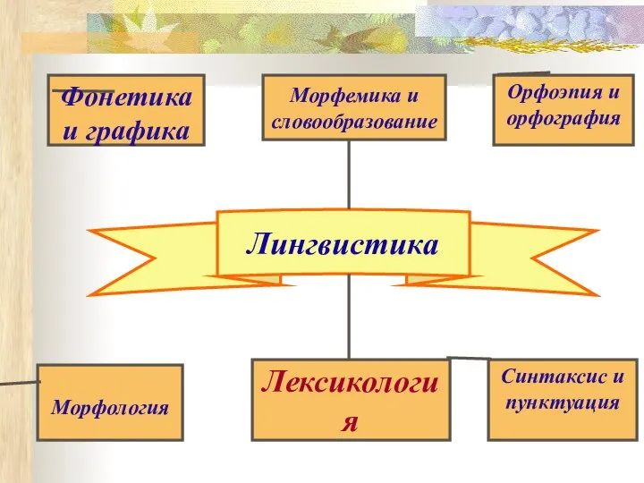 Лингвистика Фонетика и графика Орфоэпия и орфография Морфемика и словообразование Морфология Синтаксис и пунктуация Лексикология