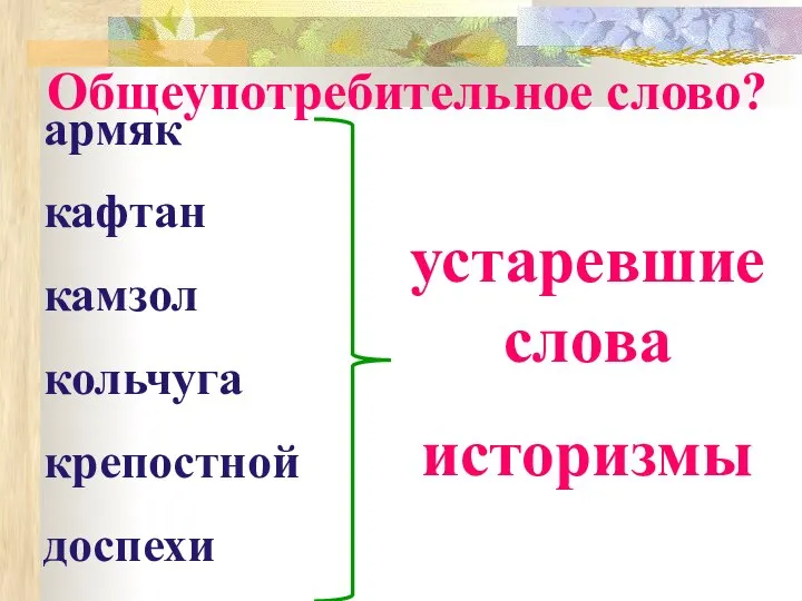 Общеупотребительное слово? армяк кафтан камзол кольчуга крепостной доспехи устаревшие слова историзмы