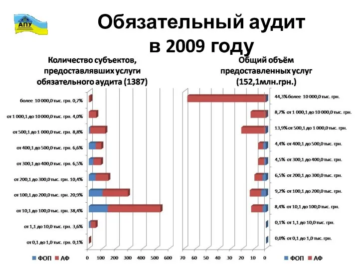 Обязательный аудит в 2009 году