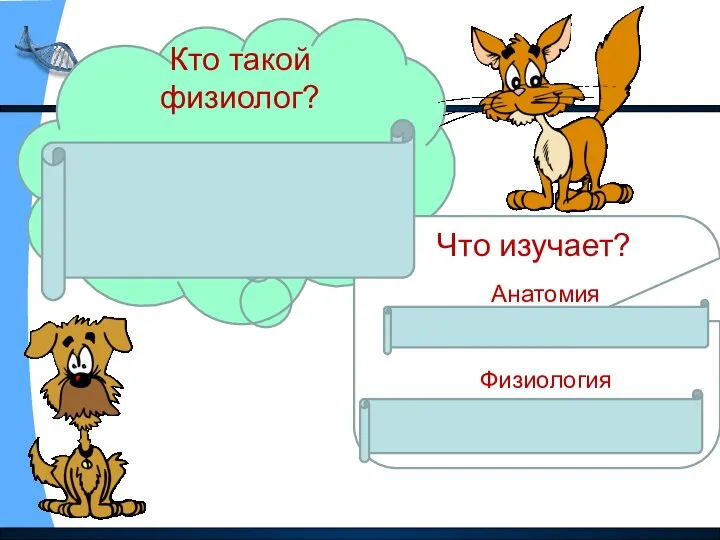 Кто такой физиолог? Физиолог- ученый, занимающийся изучением строения и работой органов.