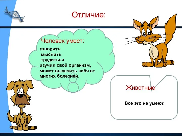 Отличие: Человек умеет: говорить мыслить трудиться изучил свой организм, может вылечить