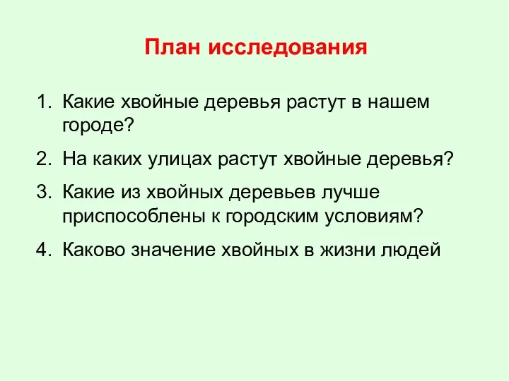 План исследования Какие хвойные деревья растут в нашем городе? На каких