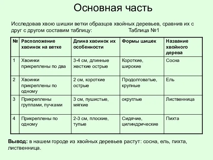 Основная часть Исследовав хвою шишки ветки образцов хвойных деревьев, сравнив их