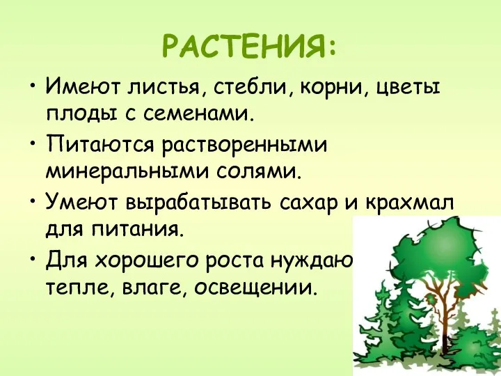 РАСТЕНИЯ: Имеют листья, стебли, корни, цветы плоды с семенами. Питаются растворенными