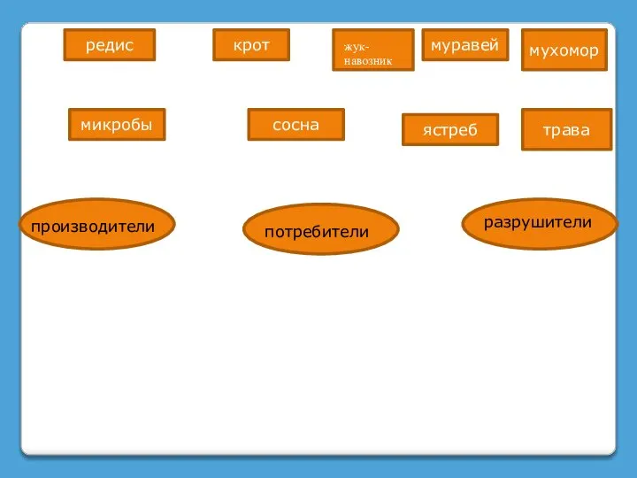 микробы трава редис крот ястреб муравей мухомор сосна производители потребители разрушители