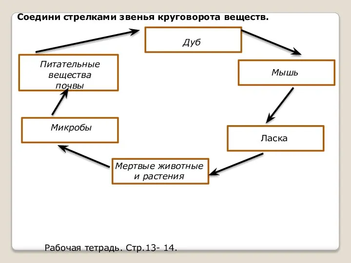 Соедини стрелками звенья круговорота веществ. Рабочая тетрадь. Стр.13- 14. Питательные вещества