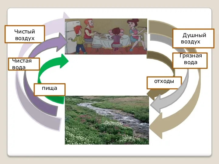 Душный воз у Душный воздух Грязная вода отходы Чистый воздух Чистая вода пища