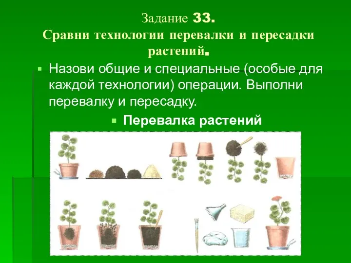 Задание 33. Сравни технологии перевалки и пересадки растений. Назови общие и