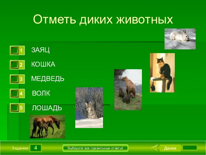 4 Задание Выберите все правильные ответы! Отметь диких животных ЗАЯЦ КОШКА МЕДВЕДЬ ВОЛК Далее ЛОШАДЬ