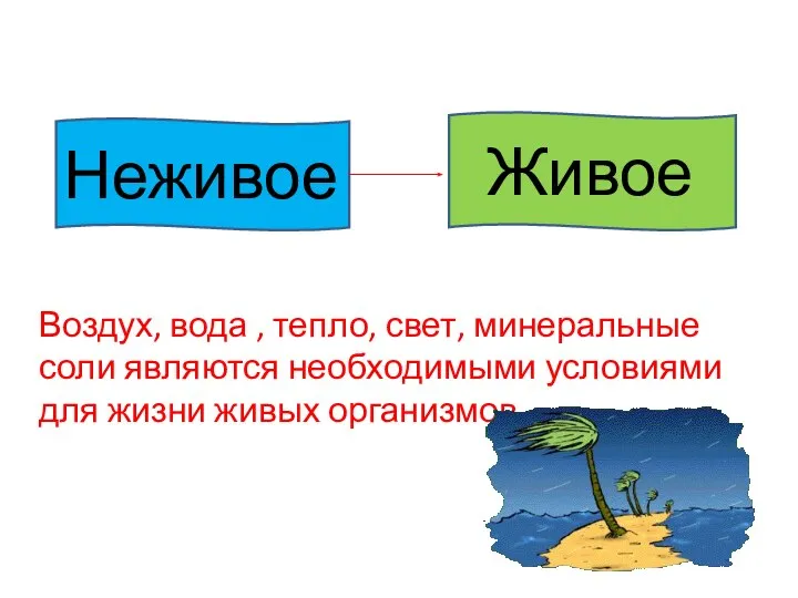 Живое Неживое Воздух, вода , тепло, свет, минеральные соли являются необходимыми условиями для жизни живых организмов.