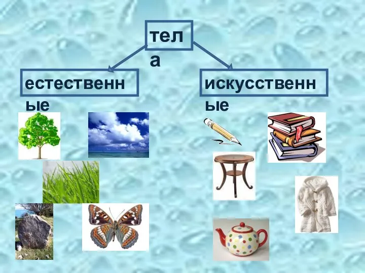 тела естественные искусственные