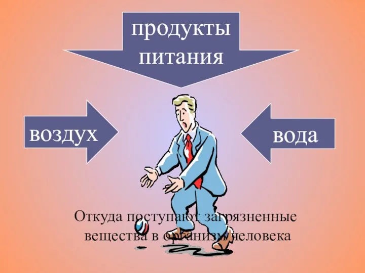 воздух вода продукты питания Откуда поступают загрязненные вещества в организм человека