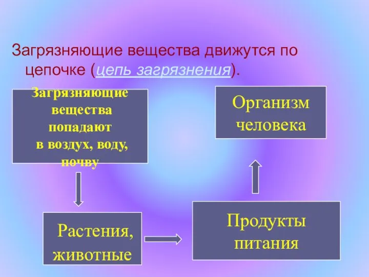 Загрязняющие вещества движутся по цепочке (цепь загрязнения). Загрязняющие вещества попадают в