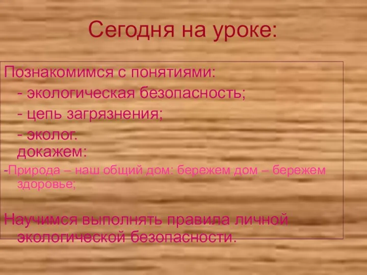 Сегодня на уроке: Познакомимся с понятиями: - экологическая безопасность; - цепь