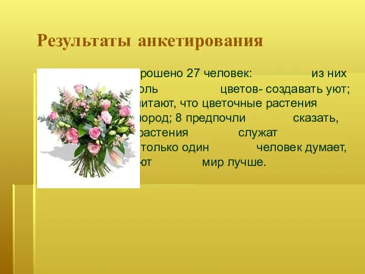 Результаты анкетирования Было опрошено 27 человек: из них 8 думают, что