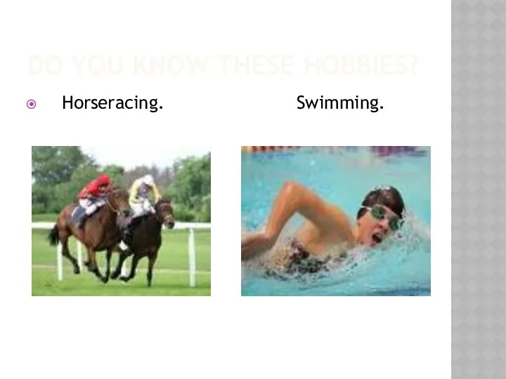 DO YOU KNOW THESE HOBBIES? Horseracing. Swimming.