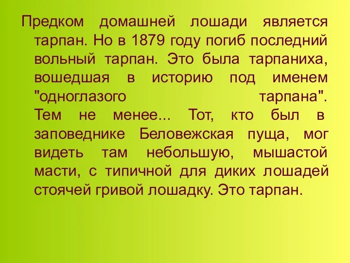 Предком домашней лошади является тарпан. Но в 1879 году погиб последний