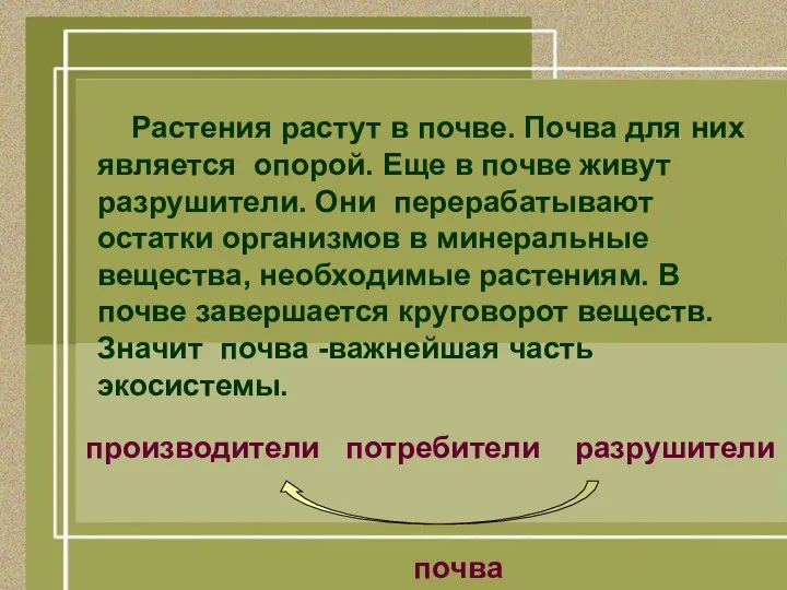 Растения растут в почве. Почва для них является опорой. Еще в