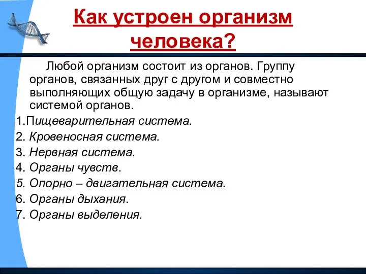 Как устроен организм человека? Любой организм состоит из органов. Группу органов,