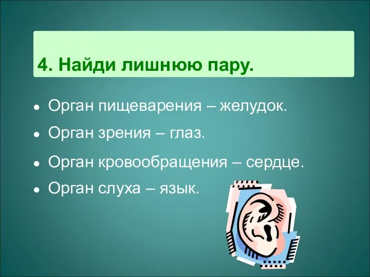 4. Найди лишнюю пару. Орган пищеварения – желудок. Орган зрения –