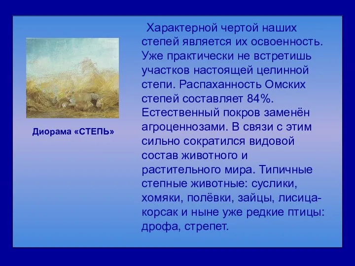 Характерной чертой наших степей является их освоенность. Уже практически не встретишь