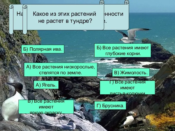 Назовите признаки приспособленности растений к жизни в тундре. А) Все растения