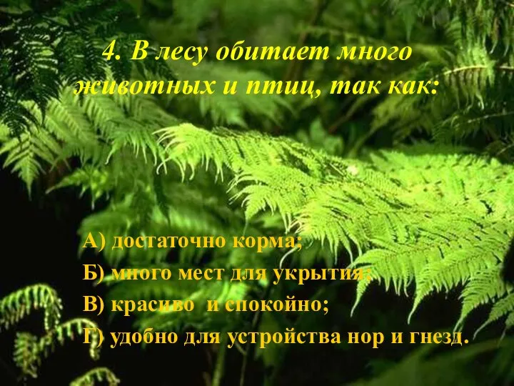 4. В лесу обитает много животных и птиц, так как: А)