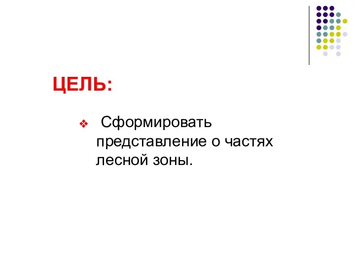 ЦЕЛЬ: Сформировать представление о частях лесной зоны.